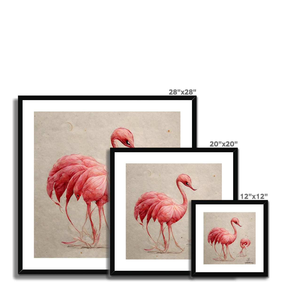 Flamingo Sketch Colors Framed & Mounted Print